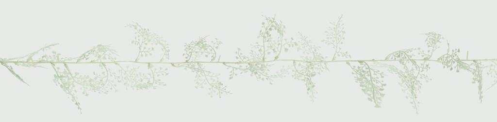 Premier Maidenhair Fern Garland Glitter White 1.8m