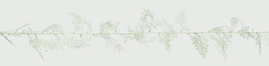 Premier Maidenhair Fern Garland Glitter White 1.8m