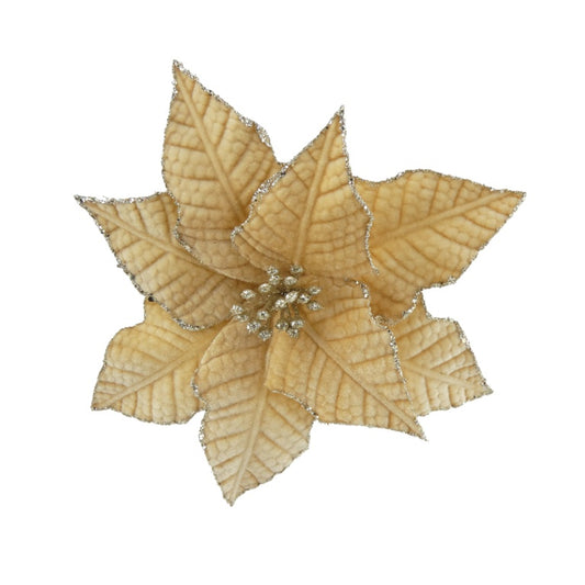 Davies Products Classic Velvet Poinsettia 22cm Champagne