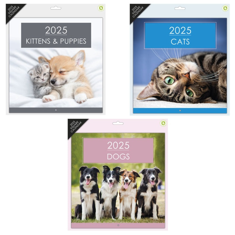 Ig Design Calendar Midi Photo Pets