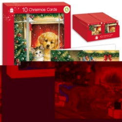 Ig Design Square Kittens & Puppies Pack 10