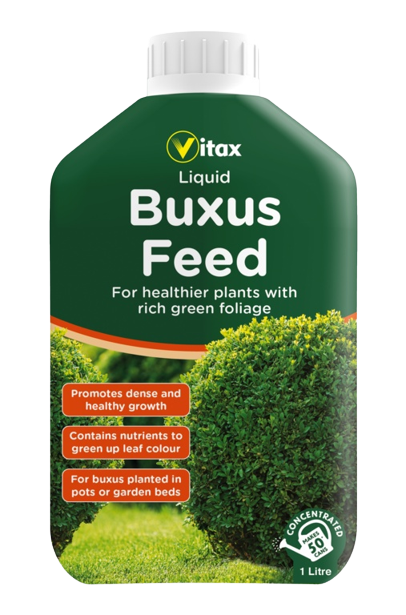 Vitax Buxus Feed Liquid 1L