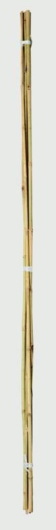 Ambassador Bamboo Canes 2' Pack of 20