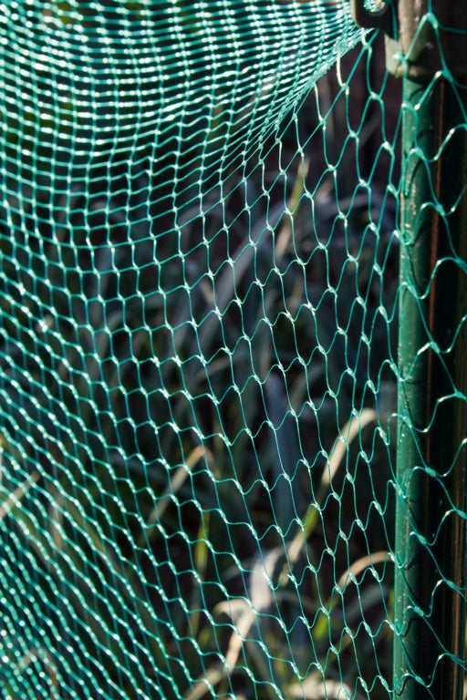 Ambassador Garden Net Green 15mm x 3 x 2m