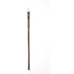 Ambassador Bamboo Canes 2' Pack of 20